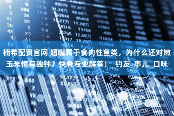 楠希配资官网 翘嘴属于食肉性鱼类,为什么还对嫩玉米情有独钟?快看专业解答!_钓友_事儿_口味