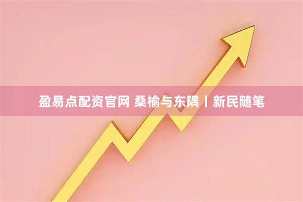 盈易点配资官网 桑榆与东隅丨新民随笔